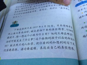 作文,二百,校園