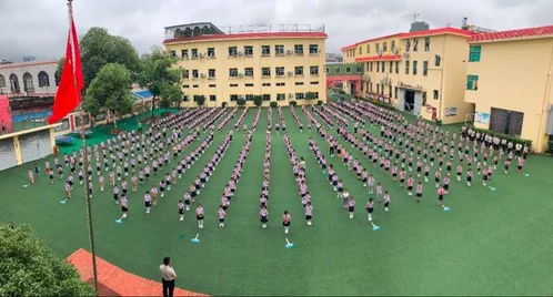 校園活動(dòng)作文升國旗