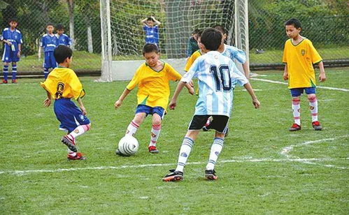 精彩的校園足球作文