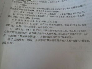 校園的一角作文450字(植物園)