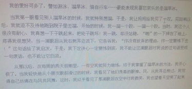 趣味冰雪快樂校園作文300字