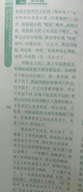 半命題作文一道校園的風(fēng)景