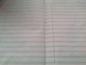 作文用移步換景描寫我的校園作文400字