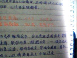 適合寫進(jìn)青春校園作文的句子