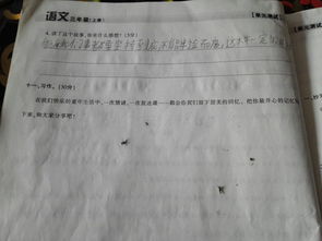 三級作文我的校園150個字