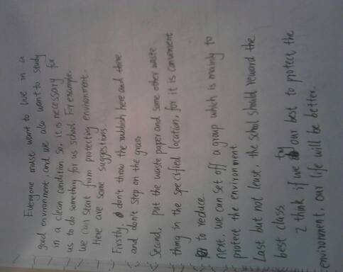 愛護(hù)校園環(huán)境英文作文300字