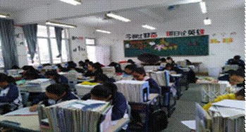 手機(jī)進(jìn)校園800作文