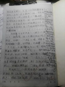 作文,充滿,校園