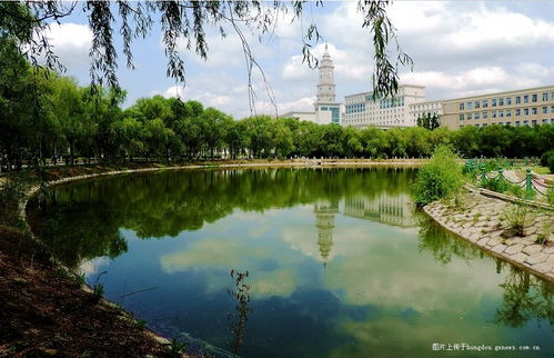 作文,春夏秋冬,校園