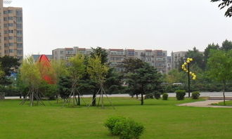 難忘的春節(jié)作文怎么寫,難忘的中秋節(jié)450字作文怎么寫,難忘的國慶節(jié)作文怎么寫450字