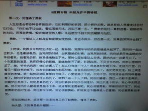 幸福職專校園作文700字