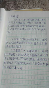 校園誠信作文600字