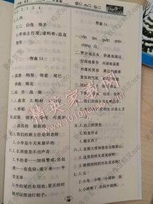 作文,小學,校園