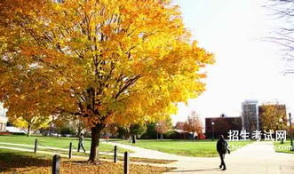 校園秋景作文七百字