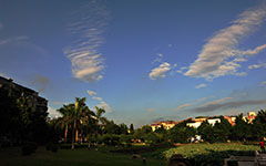 校園的早晨400字優(yōu)秀作文