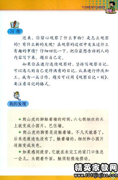 校園觀察日記300字四級作文