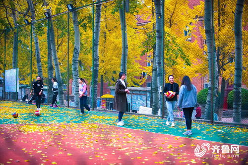 校園秋色寫景作文