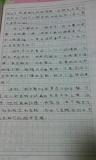 這個夏天我很快樂有關(guān)校園作文