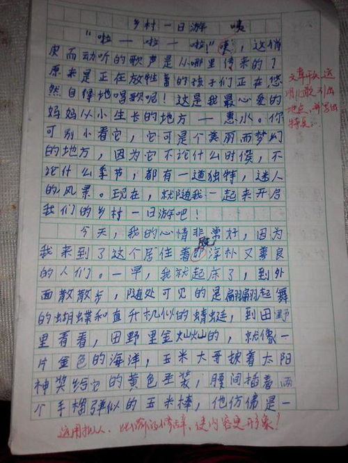 寫(xiě)校園一處景物描寫(xiě)300字作文