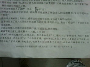 以校園的樹寫托物言志的作文