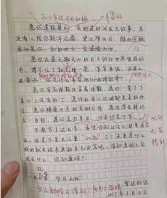 作文,背景,標(biāo)題,校園