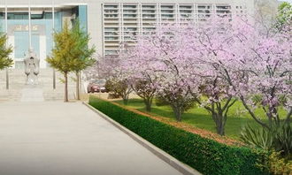 校園的風(fēng)景作文片段200字