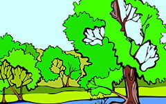 校園的樹作文150字