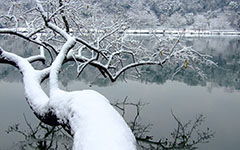 校園冬季的作文350字