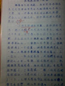 我們的校園生活500字,校園生活500字左右,新校園生活500字