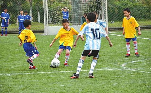 作文,評語,足球賽,校園