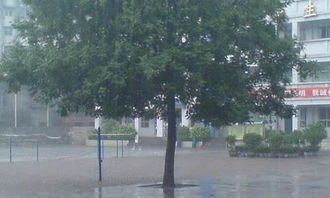 雨中的校園作文100個字