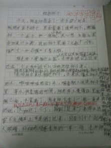 300字校園一角作文三級作文怎么寫