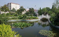 校園的夏天300個字作文大全