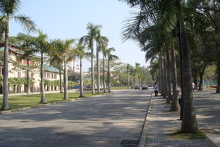 關于校園的早晨作文三級