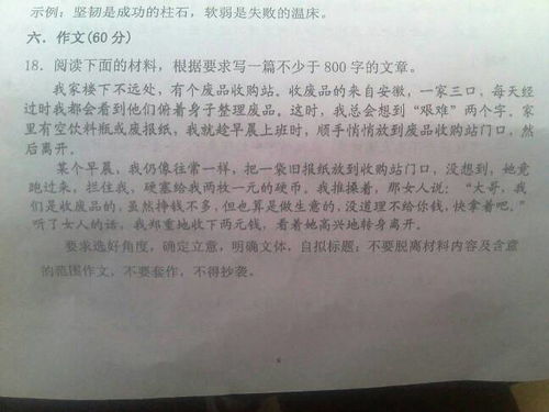 校園暴力型作文800字