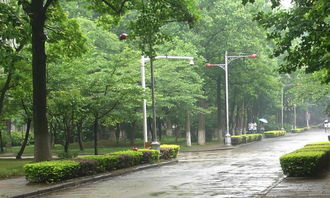 雨中的校園300字作文四級