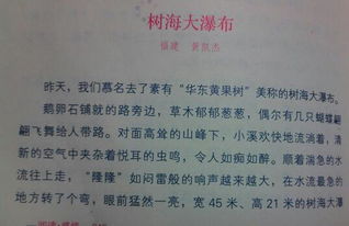 游什么作文400字游覽順序校園
