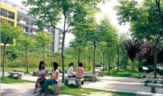 作文大全200字左右校園一角