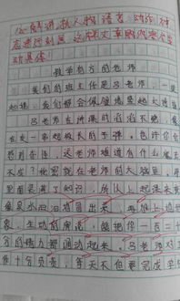 校園文化節(jié)作文400字,校園文化節(jié)作文600字,校園文化節(jié)作文500字