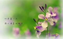 寫春天作文的結(jié)尾100字,春天作文的結(jié)尾怎么寫100字,描寫春天的作文結(jié)尾100字