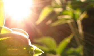 校園那一刻我長(zhǎng)大了作文400字作文