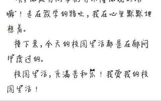 作文,走進,校園