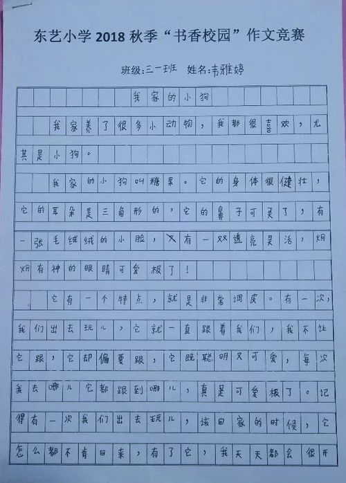 書香校園作文500字,書香校園作文400字,書香校園作文800字高中