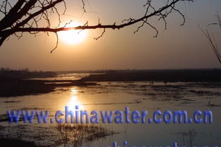 作文,照耀,夕陽(yáng),校園