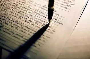 減少校園浪費英語作文不低于80字