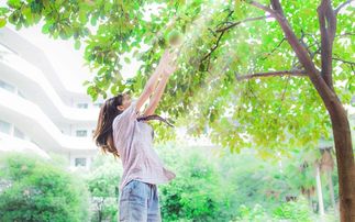 校園景作文高一