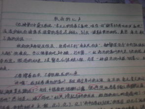 描寫校園的木蘭樹的作文600字