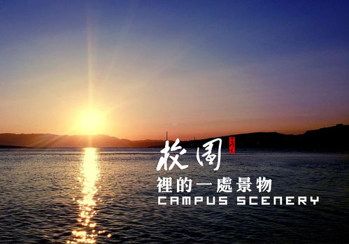 寫校園景色的作文三百字