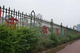 移步換景我的校園寫景作文200字