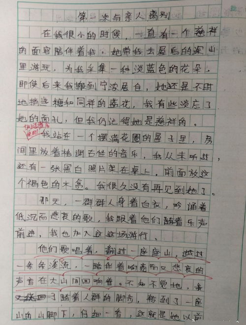小學(xué)生作文我為校園做點(diǎn)事